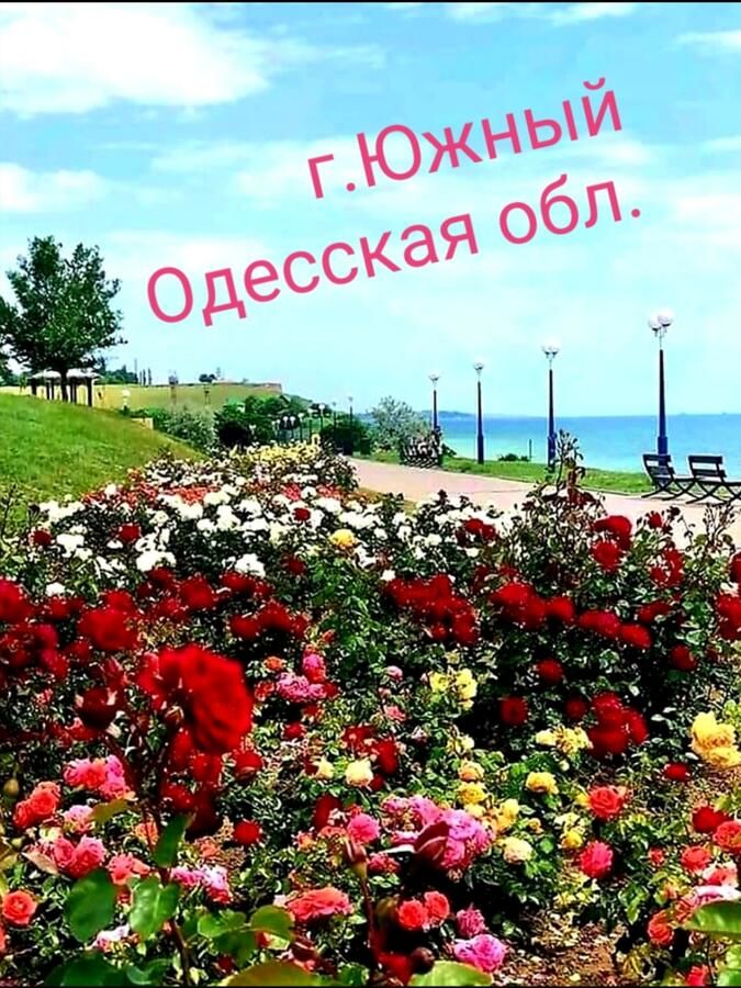 Апартаменты город Южный Апартаменты класса люкс Район Новострои Южный-4