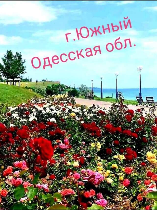 Апартаменты город Южный Апартаменты класса люкс Район Новострои Южный-3